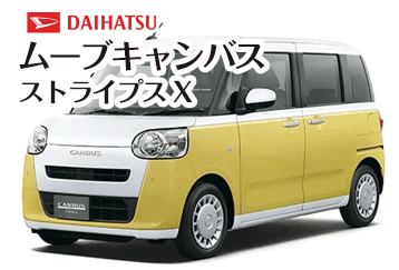 ムーブキャンバスストライプス X